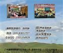 【2-5月】歐洲10國14天（香港往返-法航、國泰、法荷、卡航/廣州往返-南航）